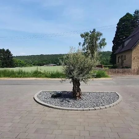 Haus Mit Viel Platz, Terrasse Und Garten * Alfter